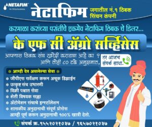 img-20250818-wa00127283329079053703731