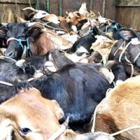 pudhari_import_wp-content_uploads_2023_09_Copy-of-नाशिक-3-4