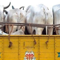 image_750x_5f09973b82479